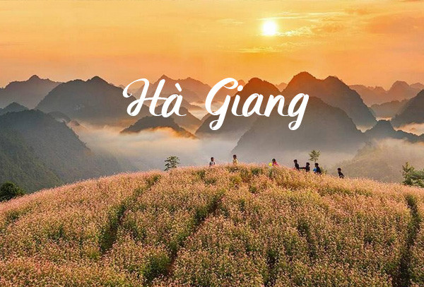 Tour Hà Giang 3 ngày 2 đêm